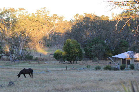 Boongarrie Luxury Tent - Hervey Bay Accommodation 7