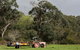 Boronia Farm - thumb 0