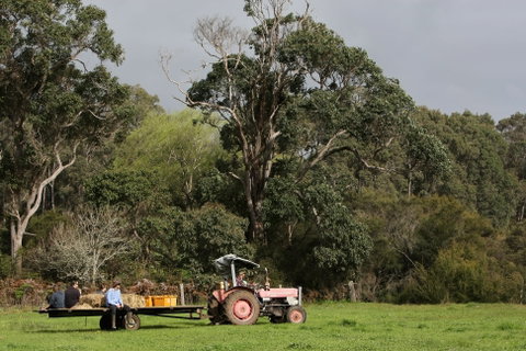 Boronia Farm - Hervey Bay Accommodation 0