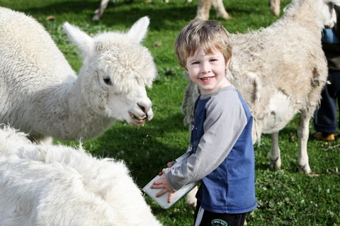 Boronia Farm - Hervey Bay Accommodation 2