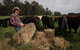 Boronia Farm - thumb 5