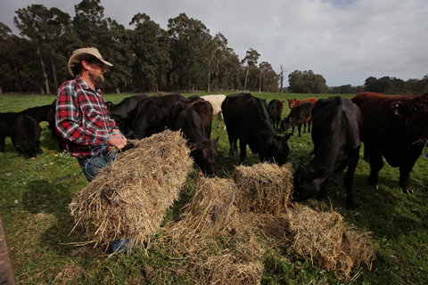 Boronia Farm - Hervey Bay Accommodation 5