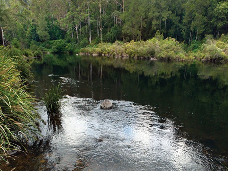 Wild Cattle Creek NSW Hervey Bay Accommodation