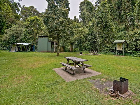 Forest Tops Campground - Hervey Bay Accommodation 0