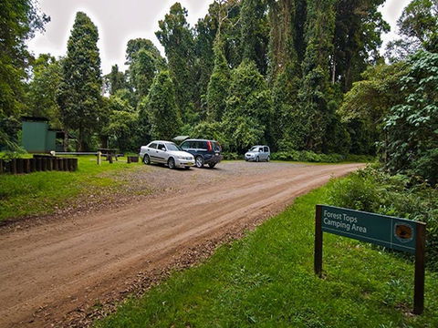 Forest Tops Campground - Hervey Bay Accommodation 1