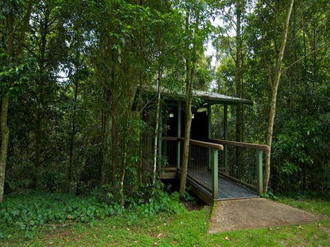 Forest Tops Campground - Hervey Bay Accommodation 2