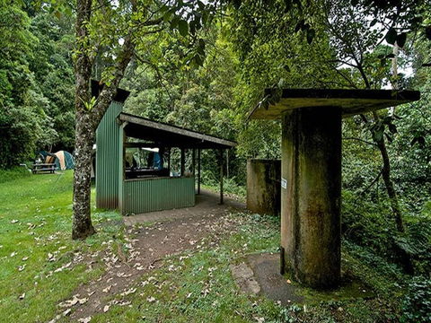 Forest Tops Campground - Hervey Bay Accommodation 3