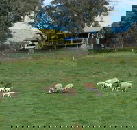 Gaddleen Grove Cottages - Hervey Bay Accommodation
