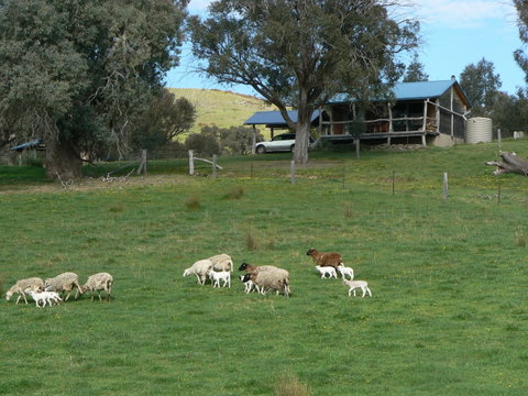 Gaddleen Grove Cottages - Hervey Bay Accommodation 0