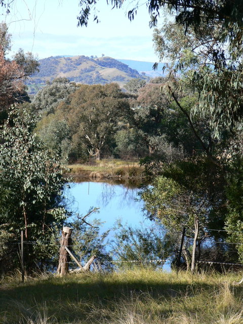 Gaddleen Grove Cottages - Hervey Bay Accommodation 6