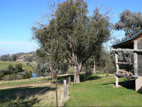 Gaddleen Grove Cottages - Hervey Bay Accommodation 9