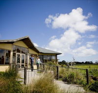Great Ocean Ecolodge - Hervey Bay Accommodation