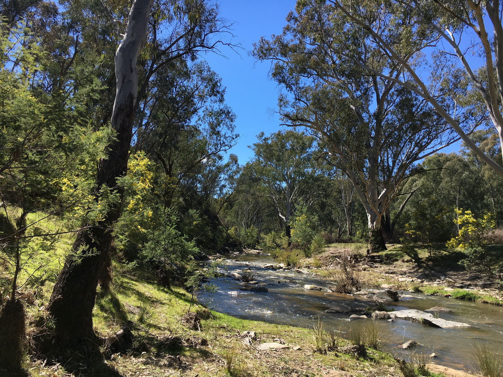 Mount Adrah NSW Hervey Bay Accommodation