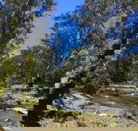 Highfield Farm and Woodland Bush Campsites - Tourism Hervey Bay