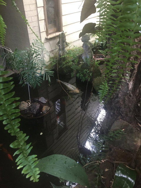 HJapartments - Hervey Bay Accommodation 4