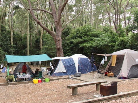 Pebbly Beach Campground - Yuraygir National Park - Tourism Hervey Bay 0