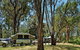Korsmans Landing Campground And Picnic Area - thumb 4