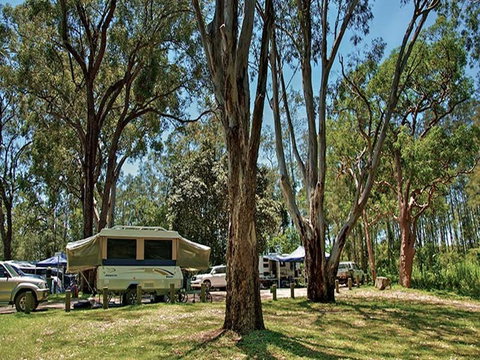 Korsmans Landing Campground And Picnic Area - Hervey Bay Accommodation 4