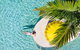 Makepeace Island - Sir Richard Branson's Australian Home - thumb 5
