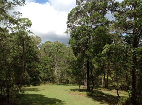 Maleny Country Cottages - Tourism Hervey Bay 2