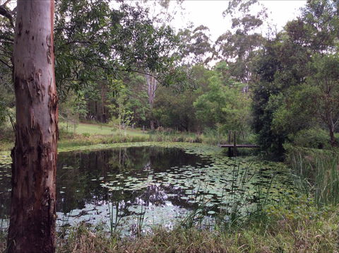 Maleny Country Cottages - Tourism Hervey Bay 3