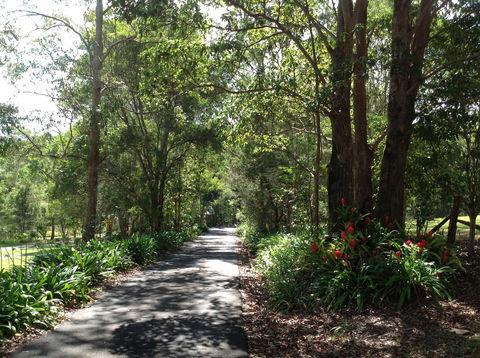 Maleny Country Cottages - Tourism Hervey Bay 8