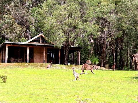 Marima Cottages - Hervey Bay Accommodation 1