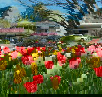 Nesuto Leura Gardens Hotel - Hervey Bay Accommodation