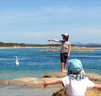North East River Camping Ground - Hervey Bay Accommodation