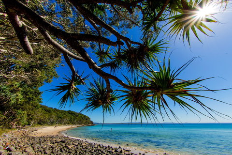 Noosa Caravan Park - Hervey Bay Accommodation 2