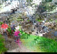 NRMA Echuca Holiday Park - Hervey Bay Accommodation