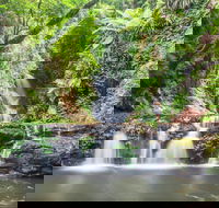 O'Reilly's Rainforest Retreat - Hervey Bay Accommodation