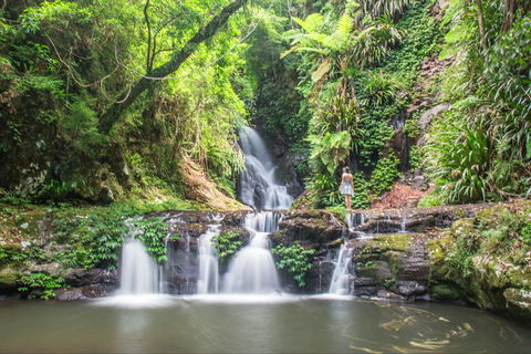O'Reilly's Rainforest Retreat - Hervey Bay Accommodation 0