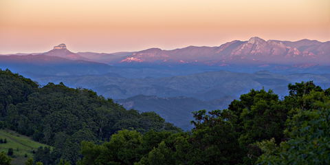 O'Reilly's Rainforest Retreat - Hervey Bay Accommodation 1