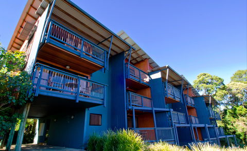 O'Reilly's Rainforest Retreat - Hervey Bay Accommodation 7