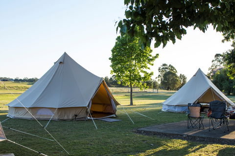 Percy's Place Caravan Park - Hervey Bay Accommodation 1
