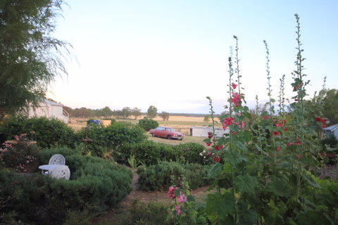 Rostrata Country House - Hervey Bay Accommodation 7