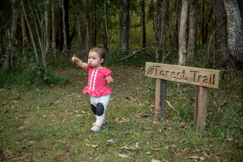 Telegraph Retreat Cottages - Hervey Bay Accommodation 4