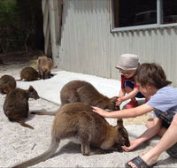 The Patriarch Wildlife Sanctuary Camping Ground - Hervey Bay Accommodation