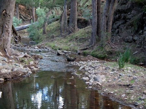 The Sink Campground - Hervey Bay Accommodation 1