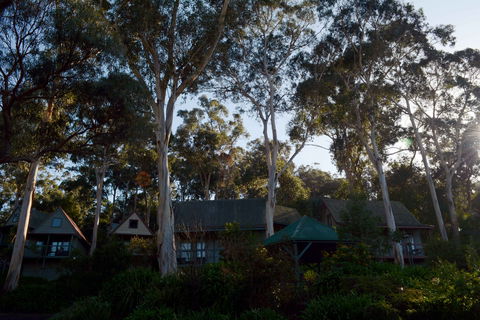 The Great Ocean Road Cottages And Backpackers - Hervey Bay Accommodation 2