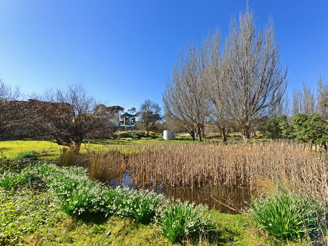 Ventnor Guest House - Hervey Bay Accommodation 9