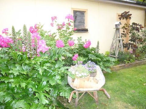 Aggies Bed And Breakfast - Hervey Bay Accommodation 2