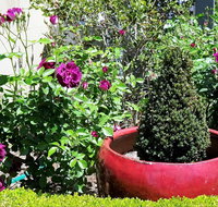 Armidale Pines Motel - Hervey Bay Accommodation