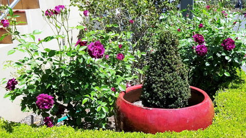 Armidale Pines Motel - Tourism Hervey Bay 0