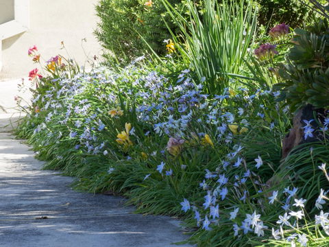 Austin Rise B&B - Tourism Hervey Bay 2