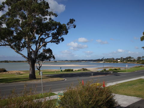 Bridport Seaside Lodge - Hervey Bay Accommodation 5