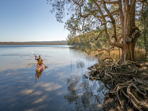Bungarie Bay Campground - Hervey Bay Accommodation 3