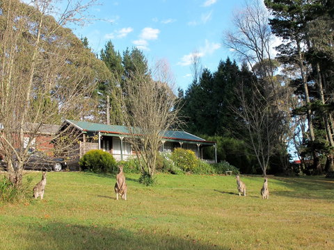 Cedar Lodge Cabins - Hervey Bay Accommodation 0