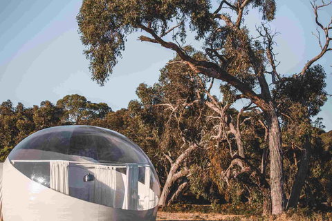 Coonawarra Bubble Tents - Hervey Bay Accommodation 0